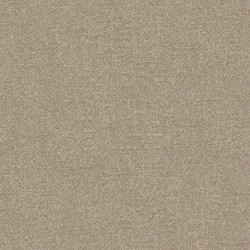 Softlight color swatch