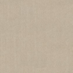 Sunbleach color swatch