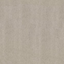Silverglass color swatch