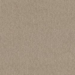 Softlight color swatch