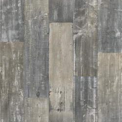 Splendor Ivory - 109L
