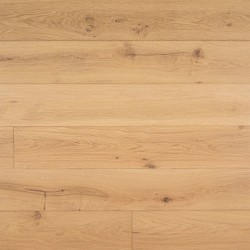 Montevideo Oak