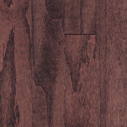 Newtown Plank - Bridle