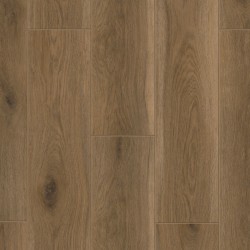 Artisan - Forest Glen