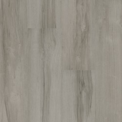 American Classics - Silver Shores