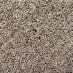 Softest Touch I - Ash