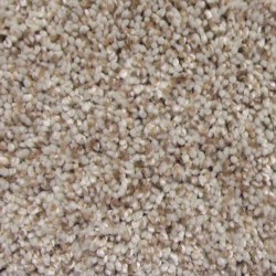 Softest Touch II - Stucco