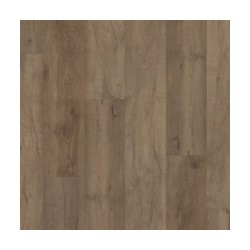 Warwick Maple