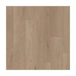 Hatfield Maple