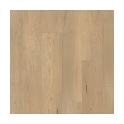 Douglas Maple