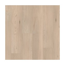 Norfolk Maple