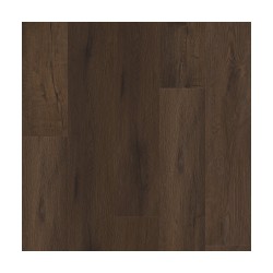 Midnight Oak