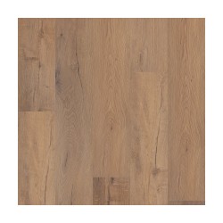 Sand Dollar Oak