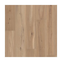 Blonde Oak