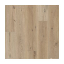Sea Salt Oak