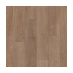 Tawny Beech