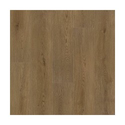 Plainfield Oak