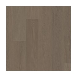 Meditative Oak