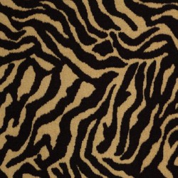 Zebra - Grazer